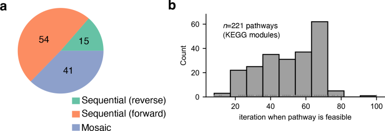 Timing of the emergence of metabolic pathways