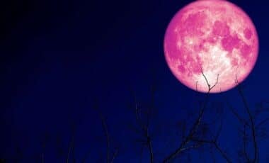 Strawberry Moon