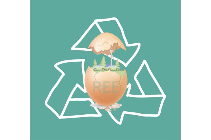 A groundbreaking discovery: eggshell waste can recover rare earth metals needed for green energy