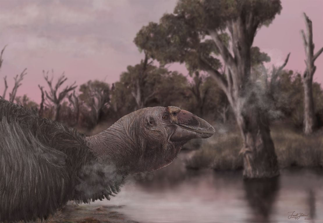 An artistic life reconstruction shows Genyornis newtoni, the last of the mihirungs, at the water's edge.