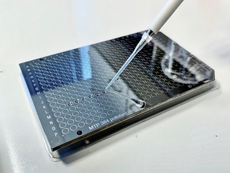 Preparation of a sample plate for ZoomS analysis