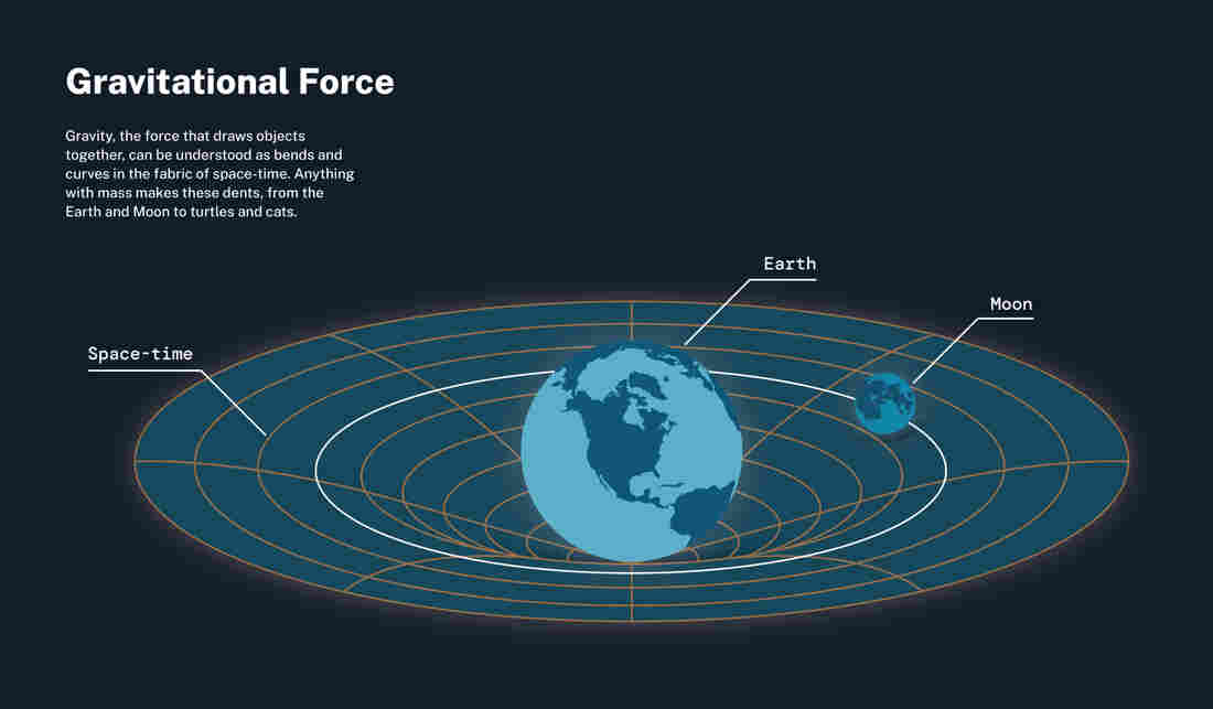 This illustration explains gravity, also known as 