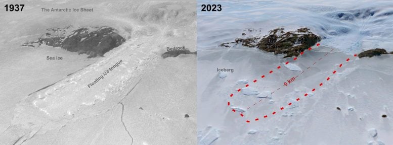 Honnörbrygga glacier comparison