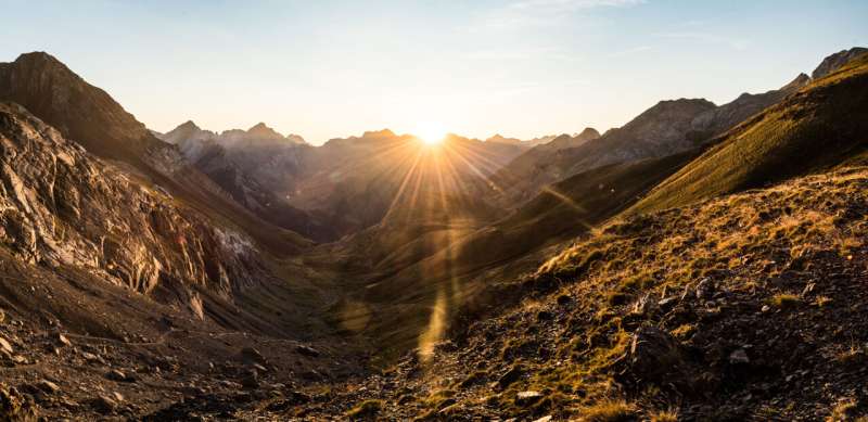 Millions of insects migrate through the 30 meter high Pyrenees Pass