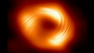 A striped orange and white donut shaped structure in front of a black background.