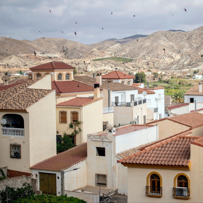 Swallows fly above Arboleas, Almeria, Spain