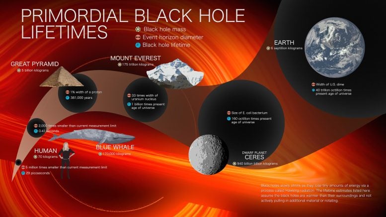 Primordial lives of black holes infographic