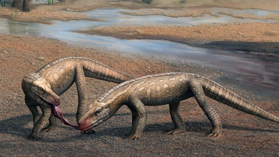 PHOTO: Artistic reconstruction of two individuals of Parvosuchus aurelioi in a Triassic landscape.  (Matheus Fernandes)