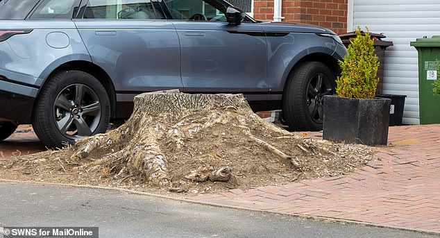 A small portion of the trunk is still stuck in the Palmer's driveway after they had it cut down