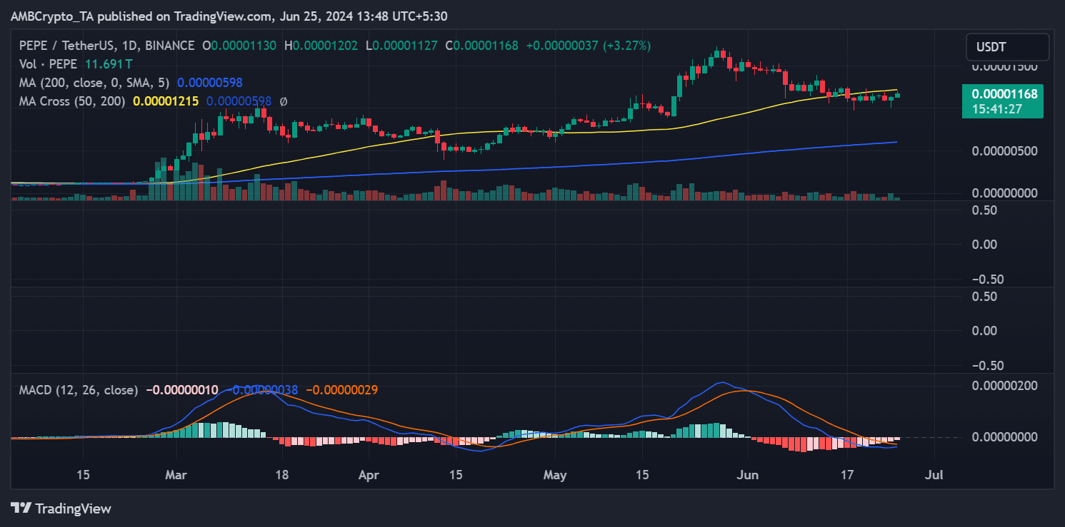 Pepe price development