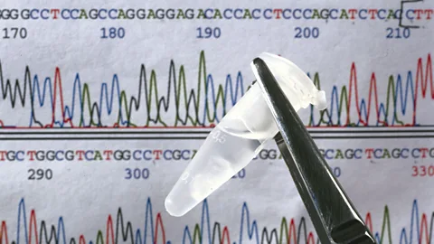 Getty Images The Human Genome Project has mapped an entire human genome for the first time – but decades later, some stretches of DNA remain enigmatic (Credit: Getty Images)