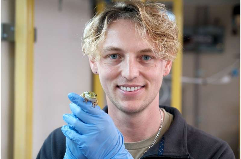 Frog saunas are a lifeline for endangered frog populations