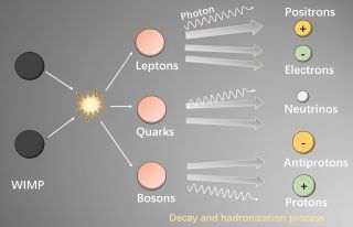 A diagram showing WIMPS meeting and annihilating each other to form other particles, including photons.