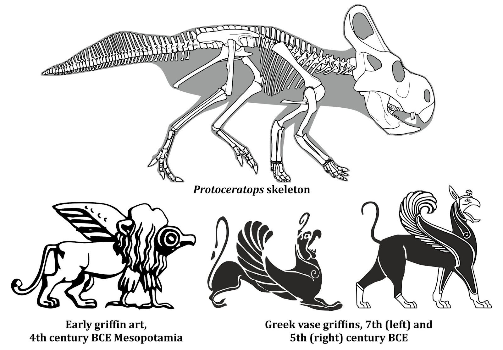 Dinosaur fossil compared to griffin images