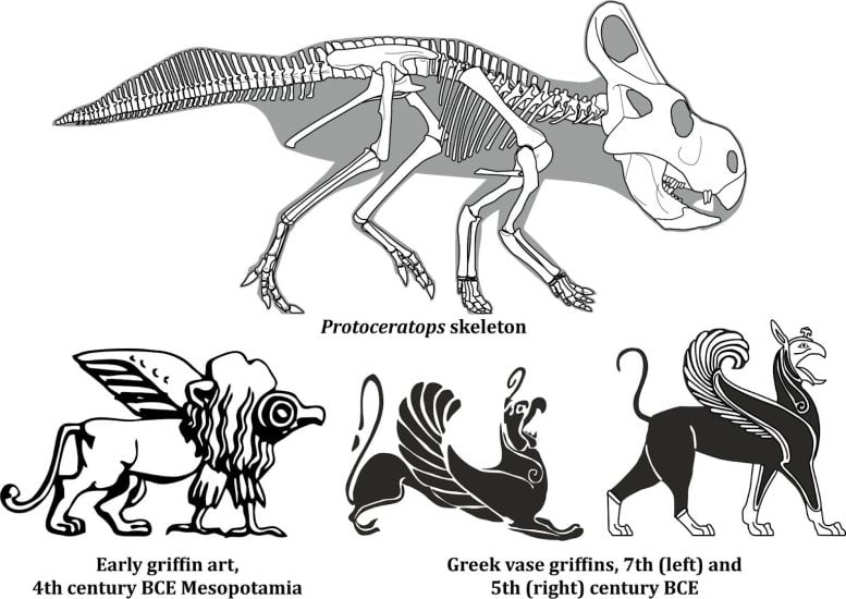 Protoceratops and old griffin