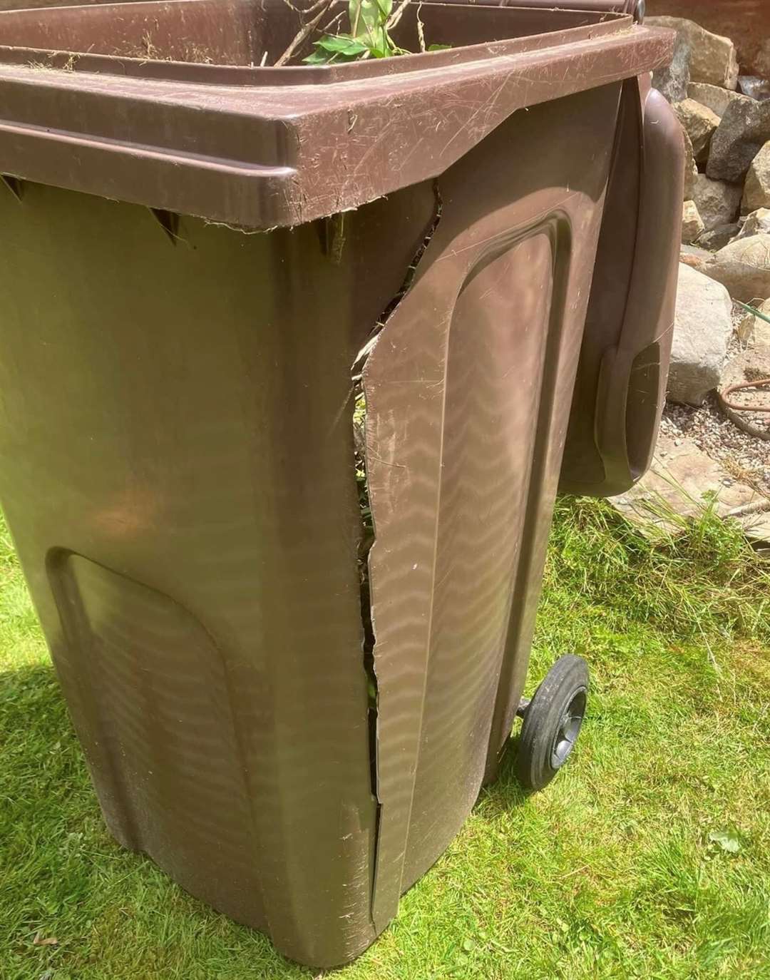 Mrs Mitton says both her brown bins were damaged and only one has been replaced