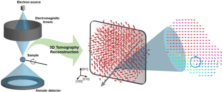 Three-dimensional polarization distribution of BaTiO3 nanoparticles revealed by atomic electron tomography