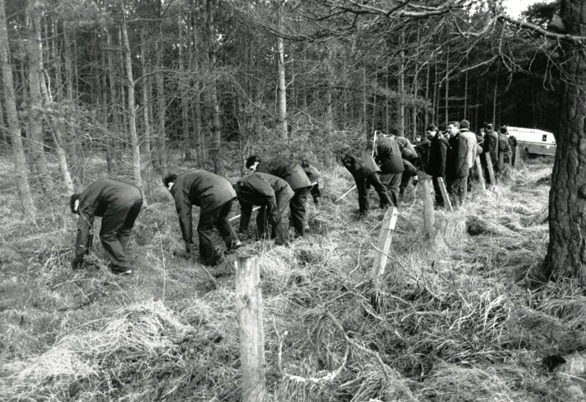 Police search Melville Woods after finding the body of Lynda Hunter. 