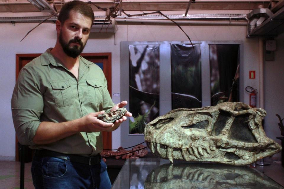 PHOTO: Paleontologist Rodrigo Müller holds the fossils of Parvosuchus aurelioi, an ancient crocodile-like reptile found in Brazil.  (Janaina Brand Dillmann)