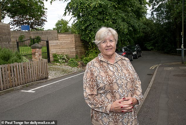 Helena Warner, 72, who lives across the street, said: 'If the council thought what was there before was acceptable and this wasn't, then they should get their heads tested.'