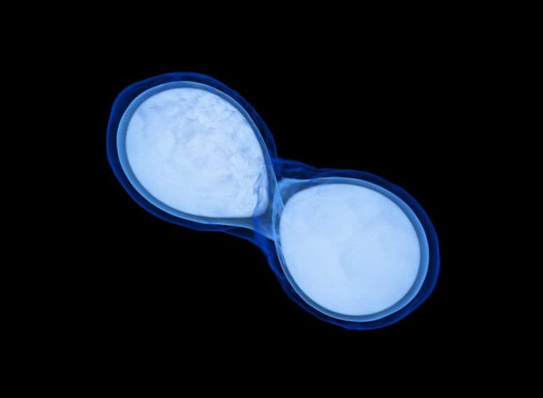 Simulation of binary neutron star mergers