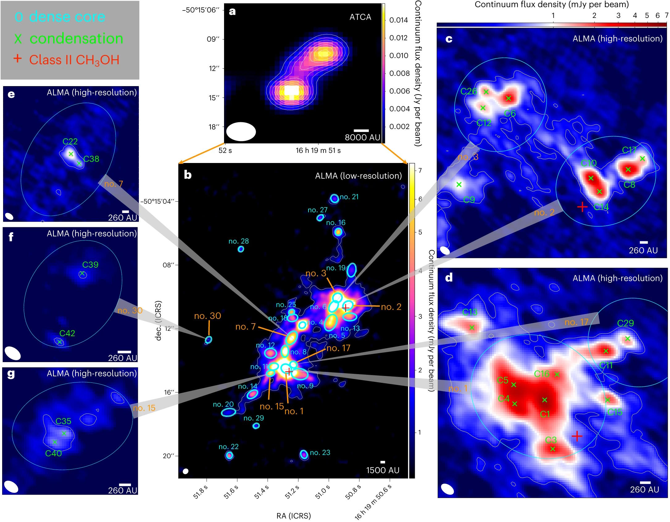                                 Description: A series of images depicting the birth of stars and different types of stars.