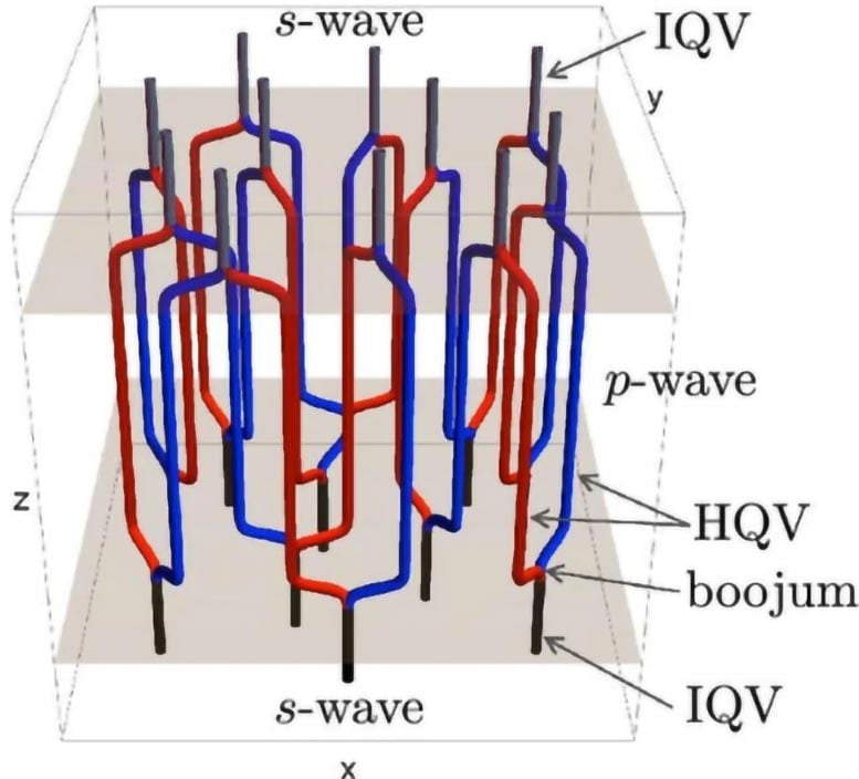 3D configuration of Quantum Vortex network