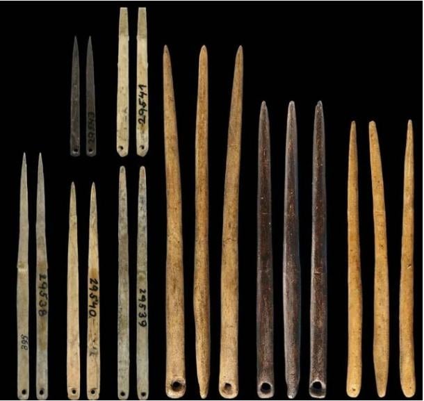 Morphological variation in the size and shape of Late Pleistocene eye needles. (Gilligan et al, 2024)