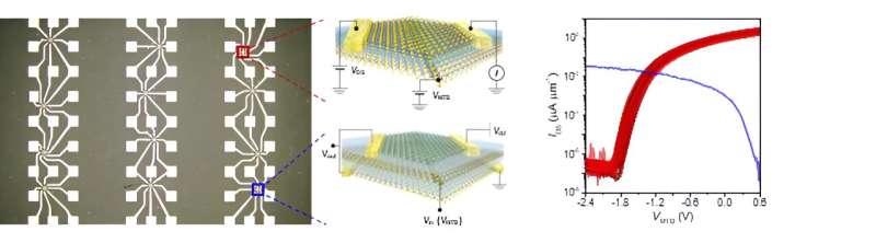 Scientists discover way to "to grow" Subnanometer-sized transistors