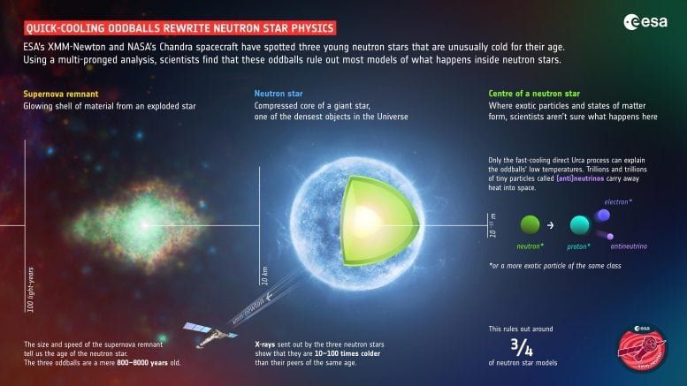 Rapidly cooling weird creatures rewrite the physics of neutron stars