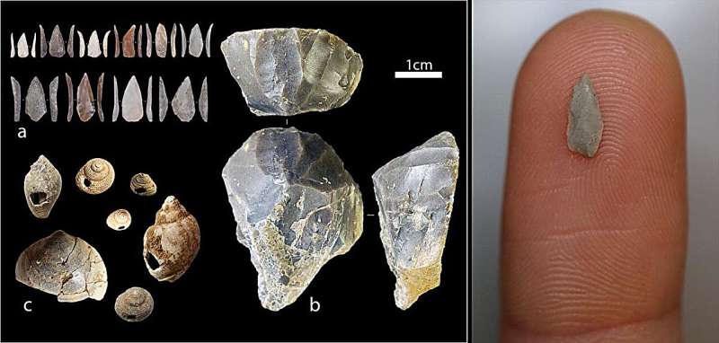 Ancient volcanic eruption not key to early cultural innovations of Homo sapiens