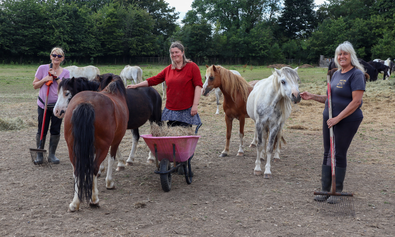 GIDDY UP: Cecil's Horse Sanctuary Receives Major Financial Boost