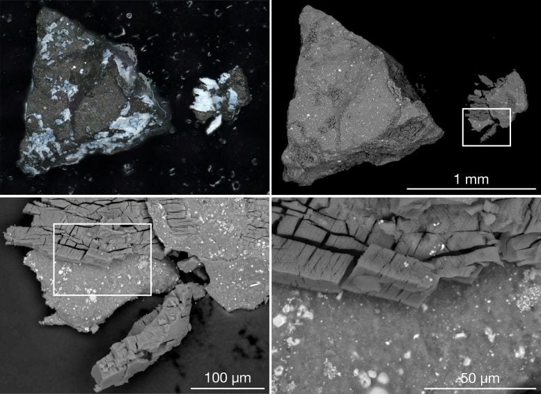 Asteroid Bennu Sample Microscope Images