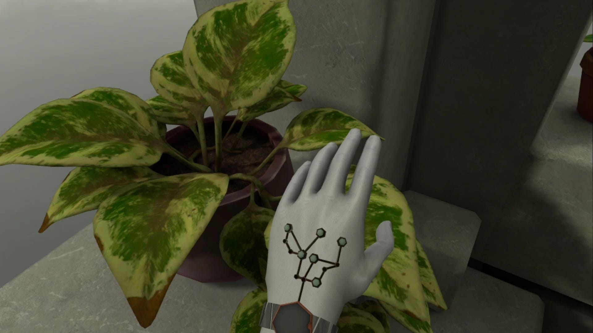 Virtual hand over a plant