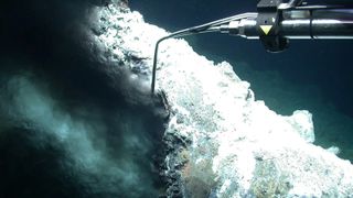 An underwater robot takes water samples for a black smoke exhaust