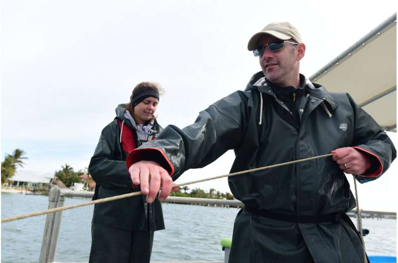 Restored oyster reserves are home to more marine life