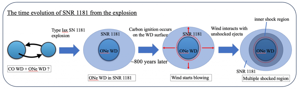   The evolution of SNR 1181. This illustration charts the evolution of the remnant of SNR 1181, from its creation when a carbon-oxygen white dwarf and an oxygen-neon white dwarf merged in a kilonova, to the formation of the two shock regions. © 2024 T. Ko