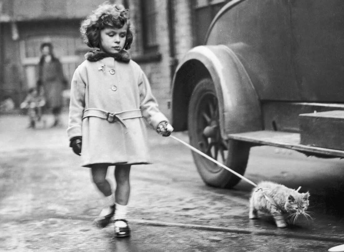 A young exhibitor arrives with her kitten on a leash at the National Cat Club show at Crystal Palace, London, 1931.