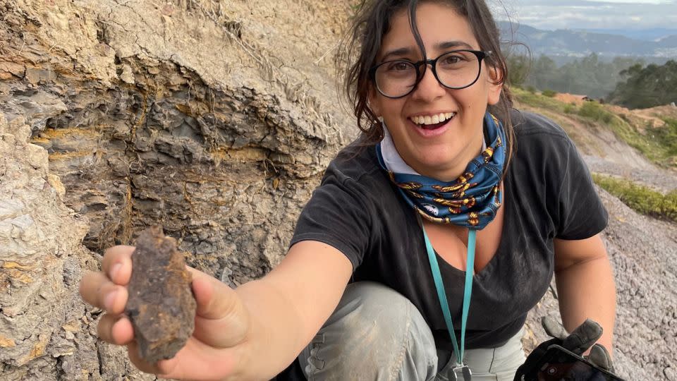 Mónica Carvalho is seen holding the recently discovered oldest grape in the Western Hemisphere at the excavation site in Colombia. - Fabiany Herrera