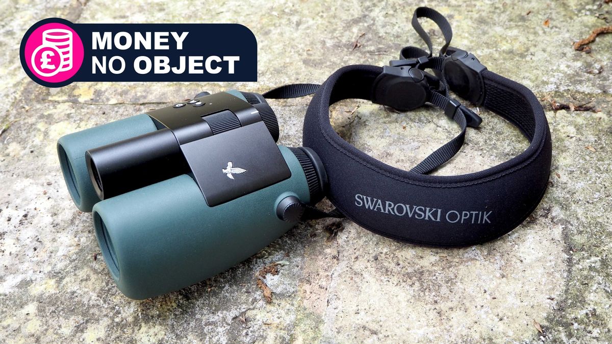 Swarovski AX Visio 10x32 binoculars on stone