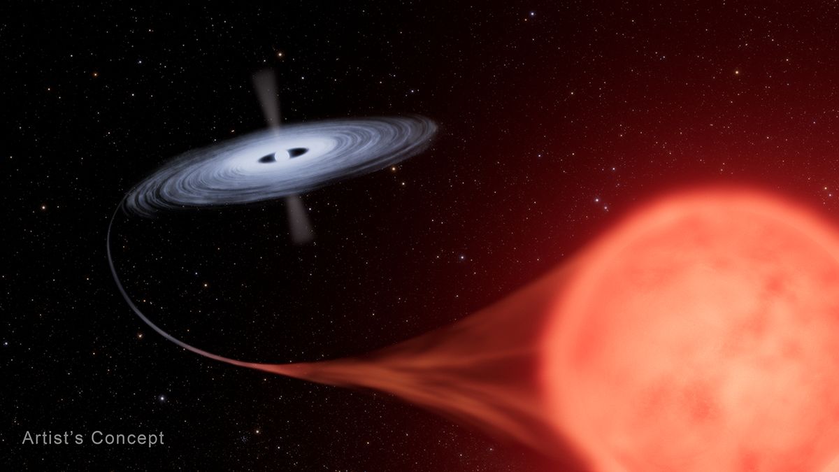 a galactic disc of gas sucks the light off a closer red star.