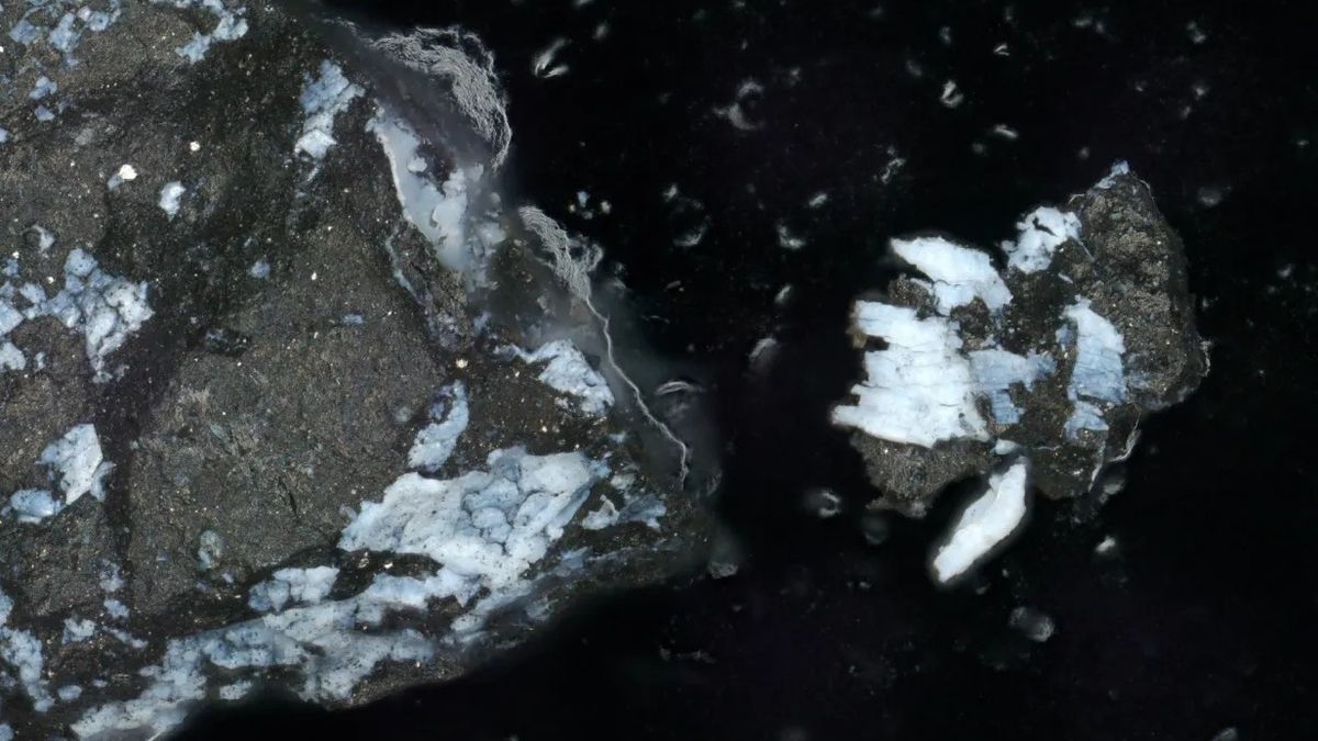 Two pieces of rocky material are seen with blueish areas highlighted.