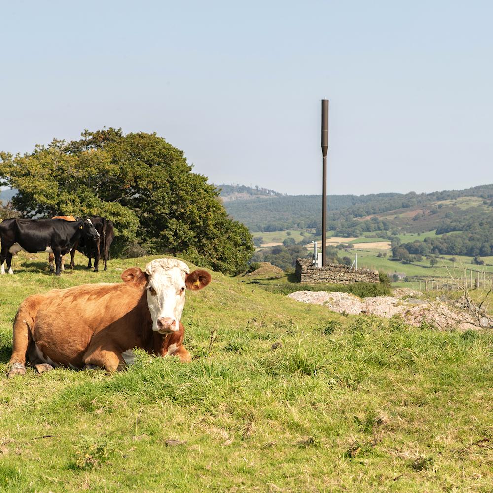 EE Lake District SRN Monopole Mast 2023