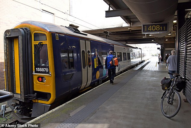 Northern Rail said the classic orange train ticket – known as the 'magstripe' because it has a magnetic, machine-readable stripe on the back – will soon be a 'museum exhibit' (file image)