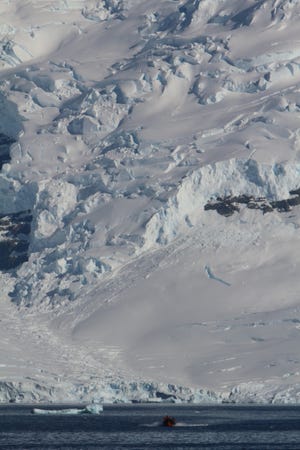 The Horton Glacier along Ryder Bay in Antarctica.